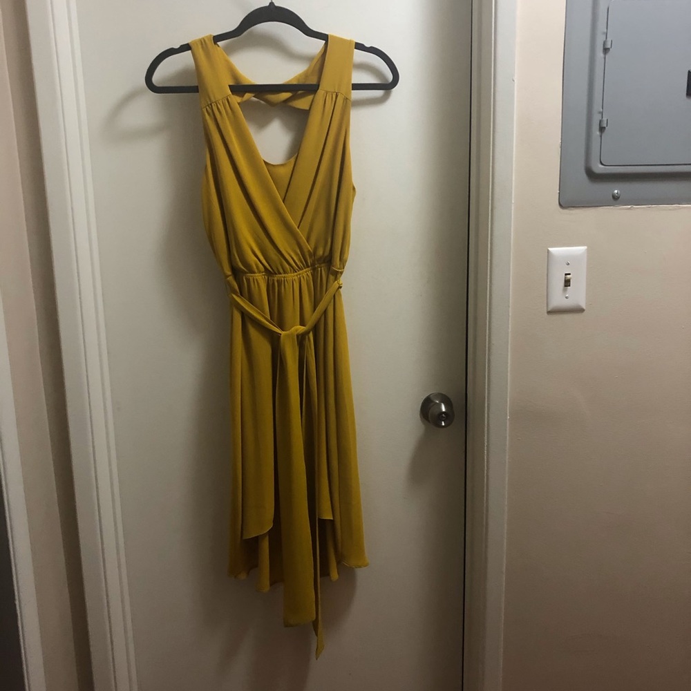 NWOT Gorgeous Dress